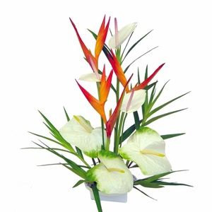 Meet your Posher, Shara